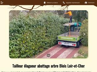 abattage d'arbre dangereux 41