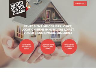 viager libre loiret, viager biens immobiliers centre-val-de-loire, viager biens immobiliers Loiret, viager biens immobiliers orleans